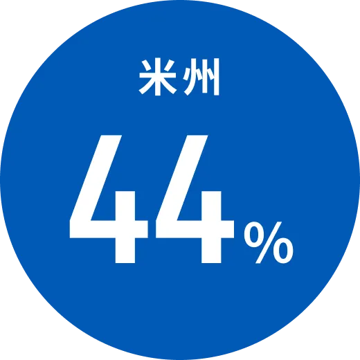 米州24%